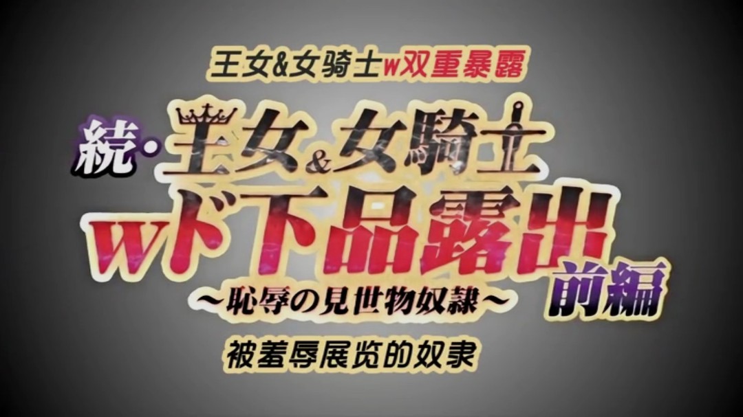 第一集长期持续的超级大国之间的战争以德米纳斯帝国的胜利而告终引导爱尔斯塔王国走向灭}