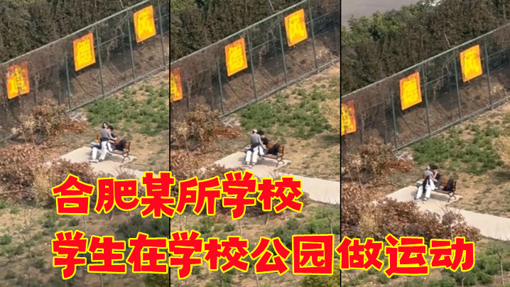 合肥某所学校，学生在学校公园做运动。春天来了}