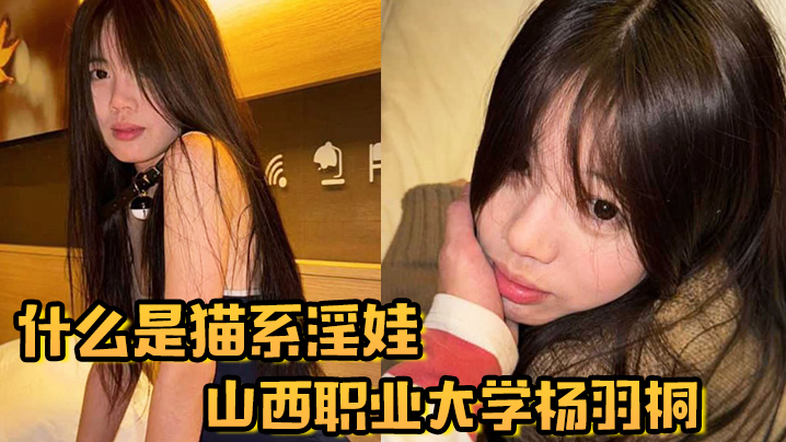 什么是猫系淫娃山西职业大学杨羽桐被曝光在发情期褪去高冷转变为淫娃}
