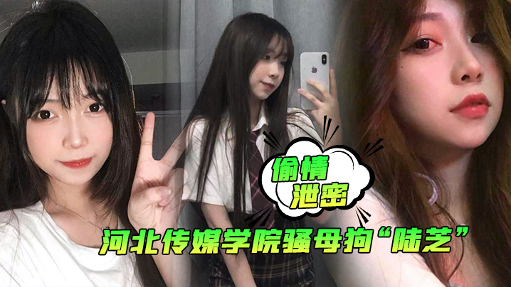 偷情泄密河北传媒学院骚母狗陆芝背着男友和其兄弟进行3P前后夹击淫荡十足}