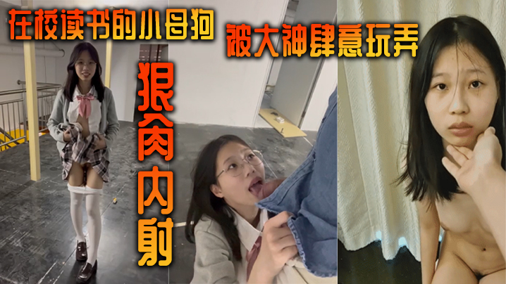 在校读书的小母狗被大神肆意玩弄狠肏内射}