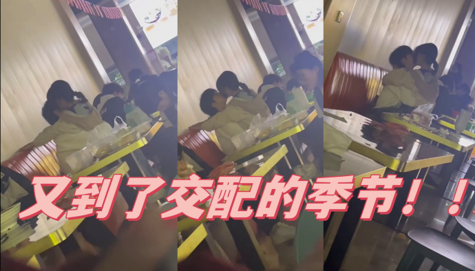 又到了交配的季节}