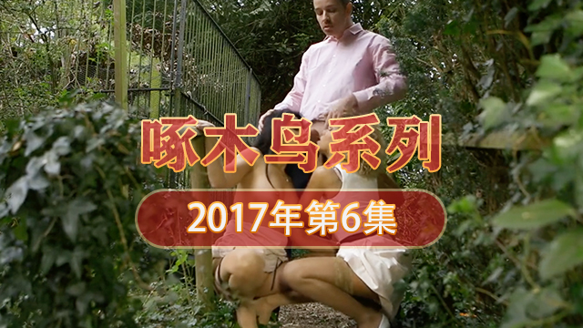 私處的慾望對話 啄木鸟17年系列-第6集}