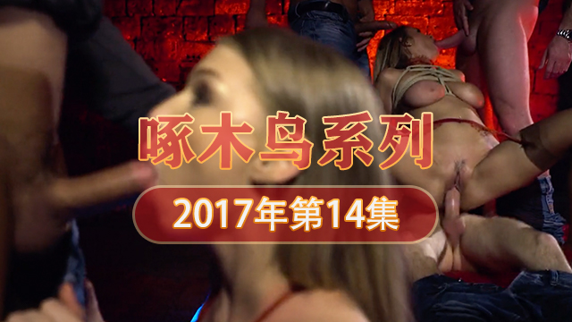 大家的肉便器 啄木鸟17年系列-第14集}