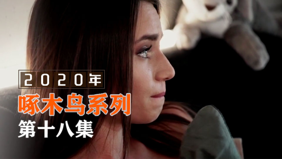 平面模特黑絲情趣誘惑啄木鸟20年系列-第18集}