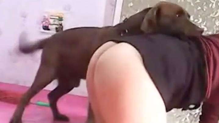 【国产人兽】绿奴直播分享老婆被狗子干}