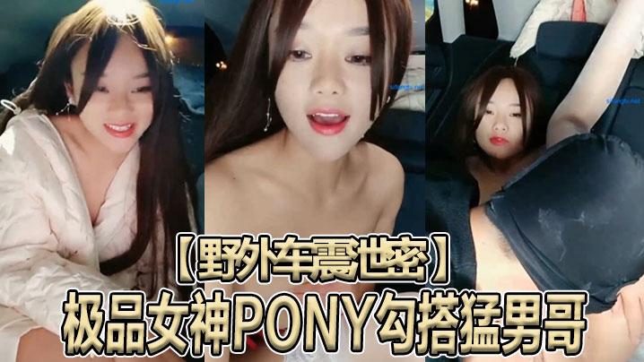 【野外车震泄密】极品女神PONY勾搭猛男哥无套骑乘顶操中国红女神被大J8猛操苦不堪言没忍住内射}
