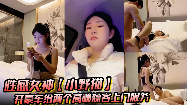 性感女神【小野猫】开豪车给两个高端嫖客上门服务猥琐大叔喜欢玩SM帅哥还算正常吹箫热身啪啪}