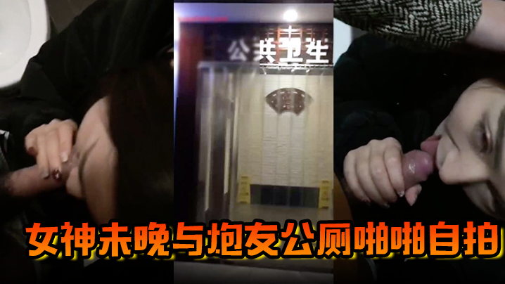 【网红泄密】霸道魔鬼身材的极品微博网红巨乳女神未晚与炮友公厕啪啪自拍}