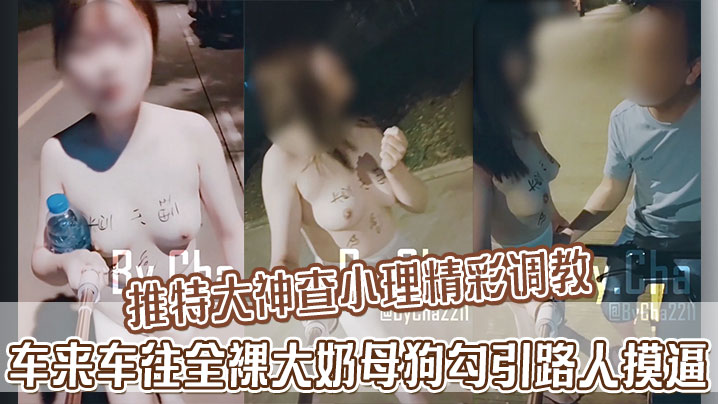 推特大神查小理精彩调教 车来车往全裸大奶母狗勾引路人摸逼}