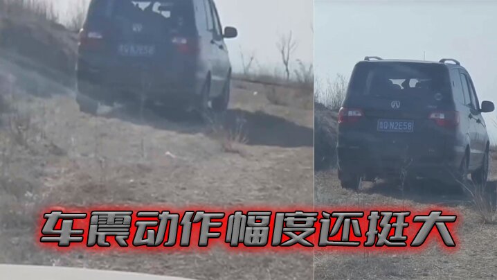 车震动作幅度还挺大}