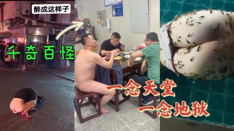 【重磅吃瓜】千奇百怪的大人们怎么是这个样子}