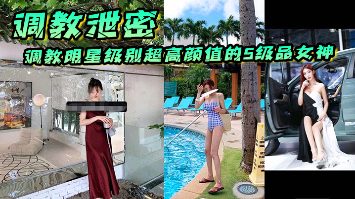 【调教泄密】调教明星级别超高颜值的S级品女神，个个都是顶级尤物}