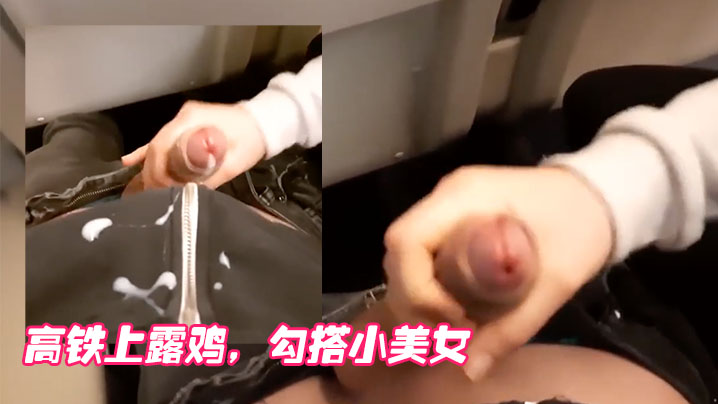 高铁上露鸡，勾搭小美女}