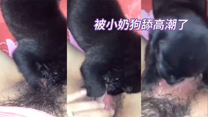 被小奶狗舔高潮了！}