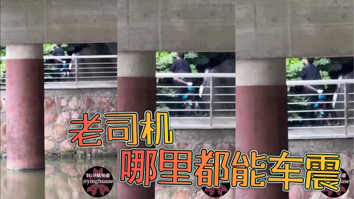 老司机，哪里都能车震}