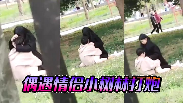 偶遇情侣小树林打炮}