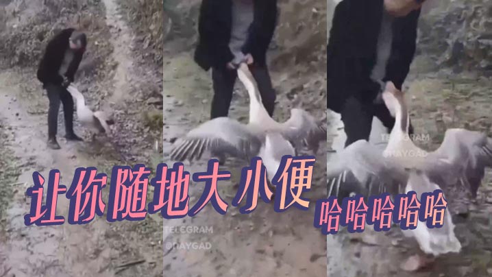 让你随地大小便，哈哈哈哈哈}