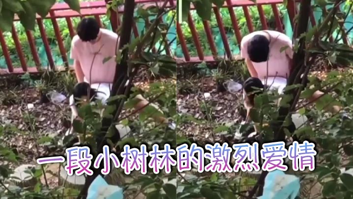 一段小树林的激烈爱情}