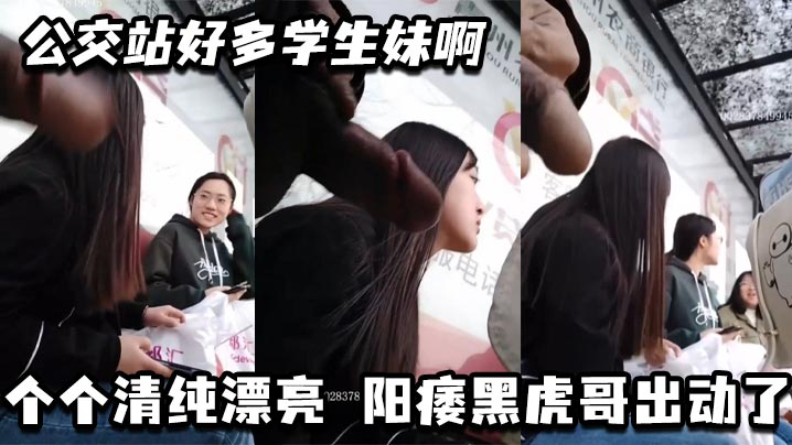 公交站好多学生妹啊_个个清纯漂亮 阳痿黑虎哥出动了}