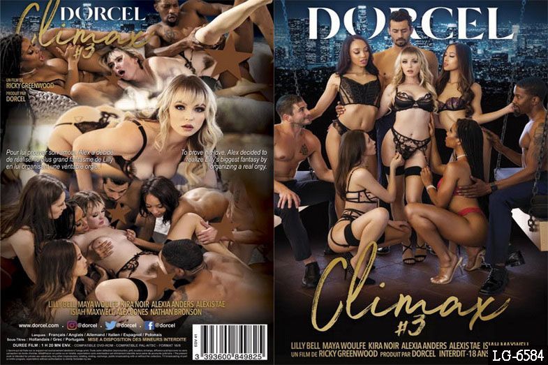 我达到最高潮了 3}