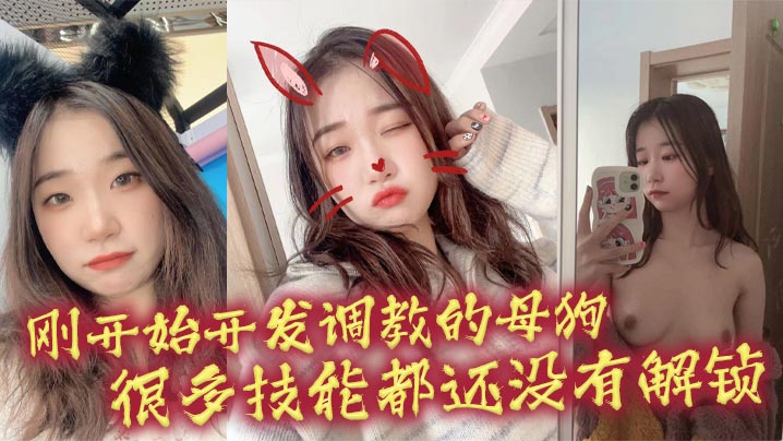 刚开始开发调教的母狗 很多技能都还没有解锁}