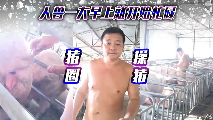 猪圈操猪，人兽一大早上就开始忙碌}