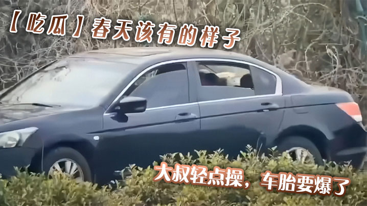 【吃瓜】春天该有的样子，大叔轻点操，车胎要爆了}