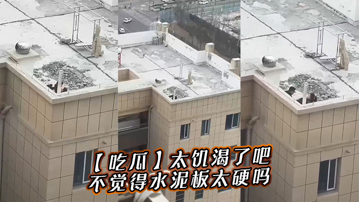 【吃瓜】太饥渴了吧，不觉得水泥板太硬吗}