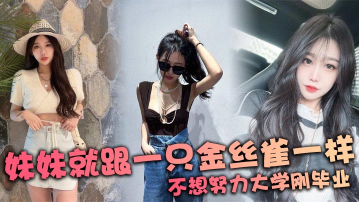 妹妹就跟一只金丝雀一样 不想努力大学刚毕业}