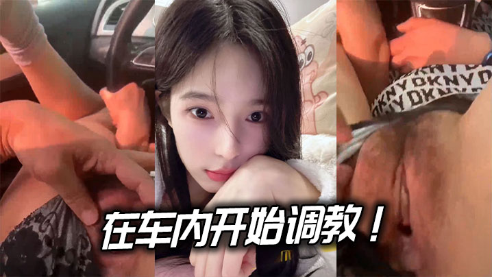 在车内开始调教！.边驾边玩逼}