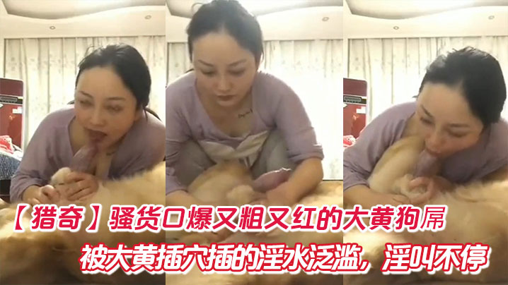 【猎奇】骚货口爆又粗又红的大黄狗屌，被大黄插穴插的淫水泛滥，淫叫不停。}