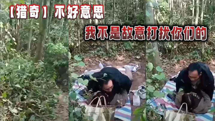 【猎奇】不好意思，我不是故意打扰你们的}