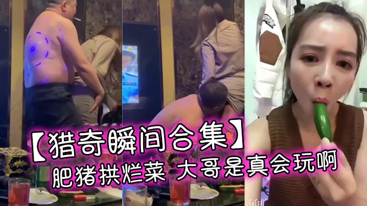 【猎奇瞬间合集】肥猪拱烂菜 大哥是真会玩啊}