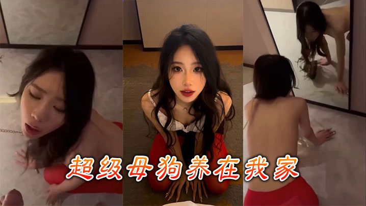 超级母狗养在我家}