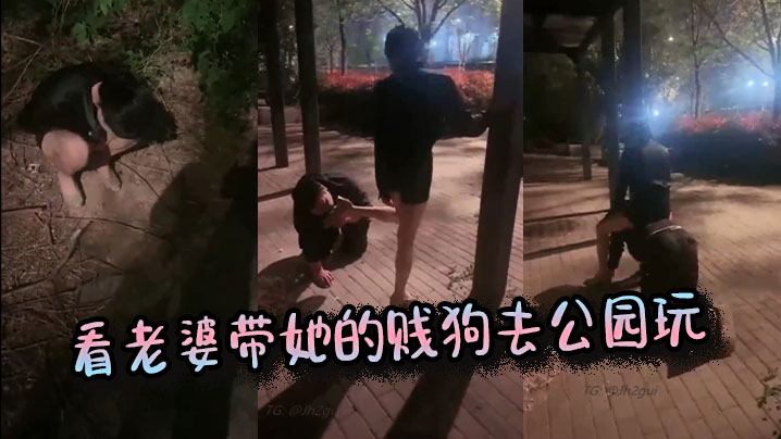 看老婆带她的贱狗去公园玩}