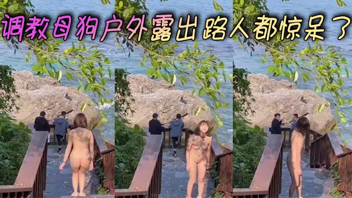 调教母狗户外露出 路人都惊呆了}