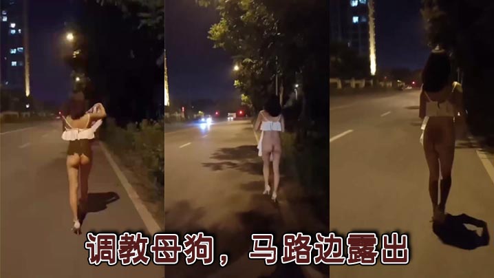 调教母狗，马路边露出}