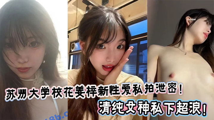 苏州大学校花姜梓新性爱私拍泄密！清纯女神私下超浪！}