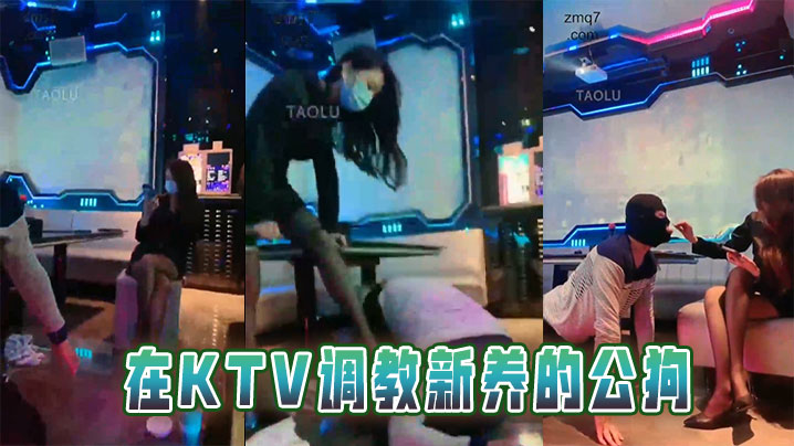 在KTV调教新养的公狗}