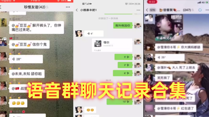 语音群聊天记录合集}