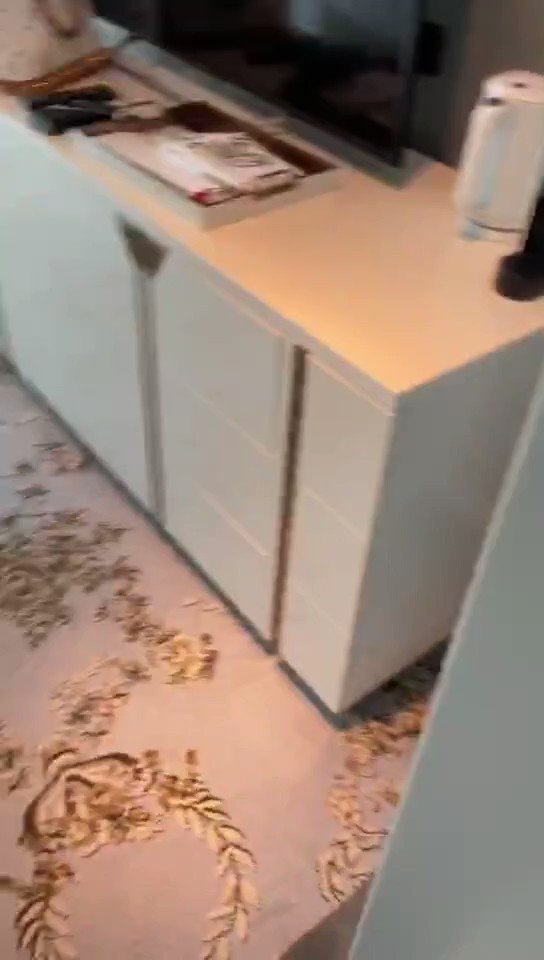 【遛狗电梯露出视频，绝对精彩！！！】你们猜这条小狗在电梯门口蹲了多久？转发过百发滴腊视频！}