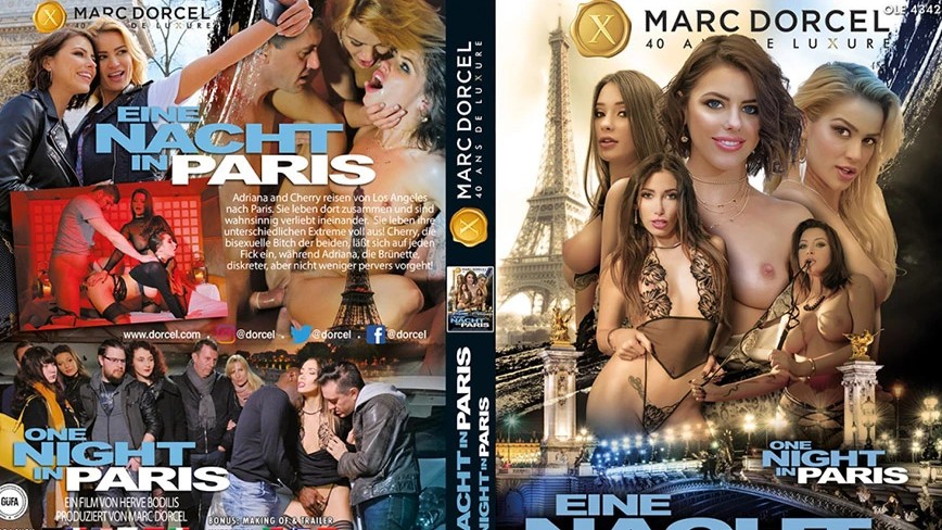 啄木鸟巴黎之夜